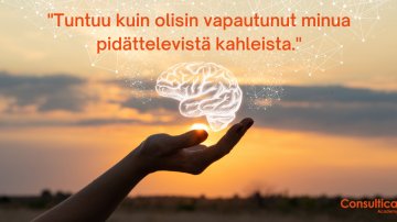 Oppimistyylianalyysi avasi Sannan silmät: