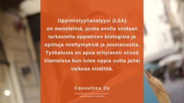 Oppimistyylianalyysin tehnyt Elli: