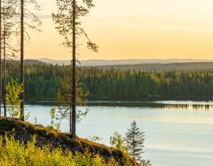 Intensiivijakso päälliköille ja esihenkilöille Lapissa!